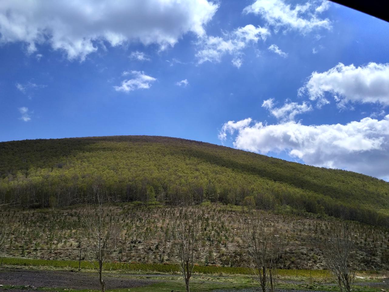5月14日，15日训练安排
