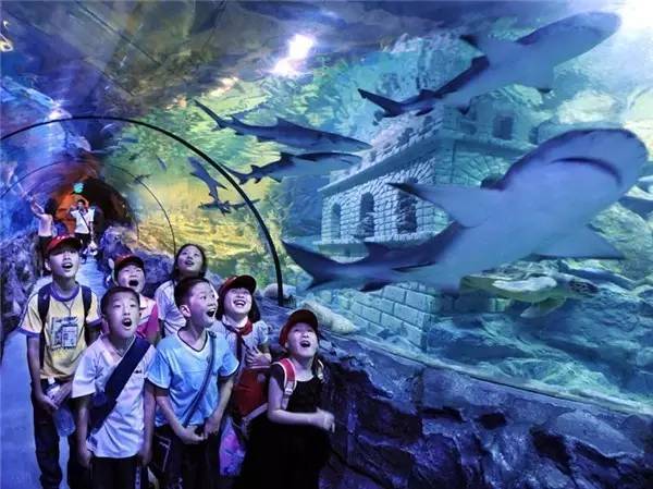 抢疯了！“宁波G20特惠旅游护照”登陆杭州10家银泰！抢到一本就赚4万6！