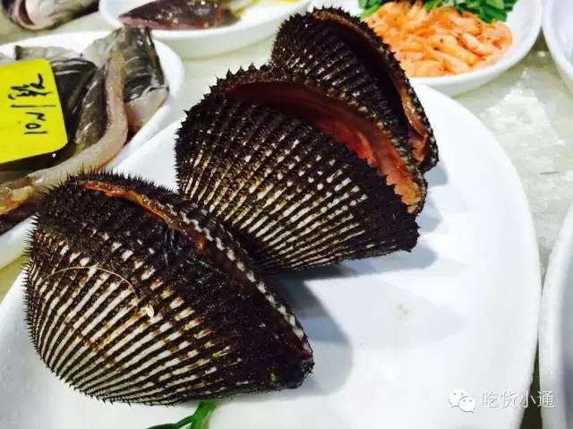 宁波北仑苍蝇馆子排名,宁波小馆子推荐