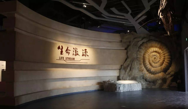 重庆周边亲子游避暑玩水 (五一重庆周边适合小孩游玩的景点)