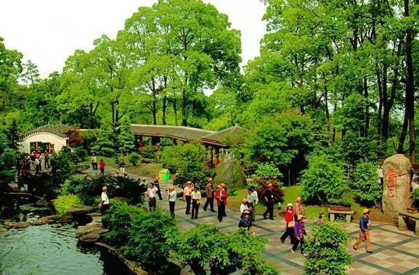 重庆周边亲子游避暑玩水 (五一重庆周边适合小孩游玩的景点)