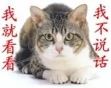 黄河父子二人打捞上来的视频,黄河落水情侣