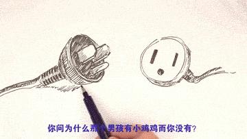 动画为什么说男女有别？|一分钟性教育