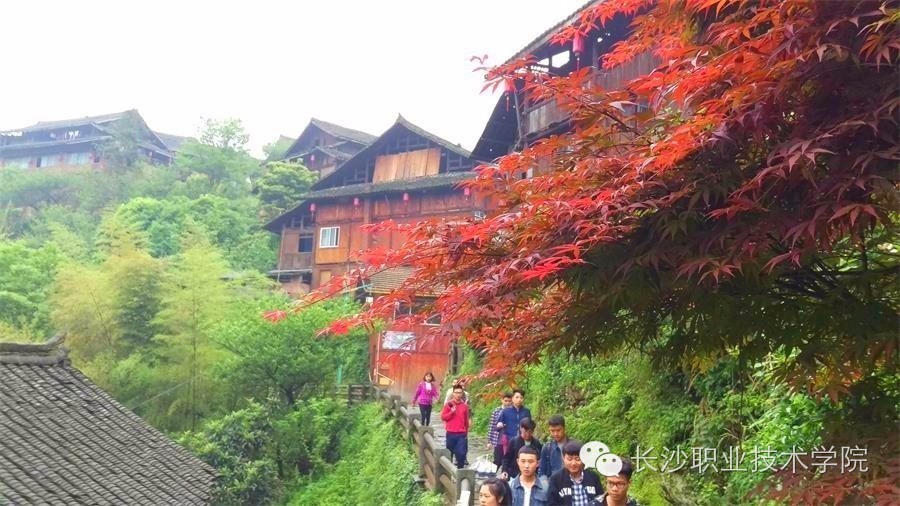 来稿我的大学生活比你多了道风景