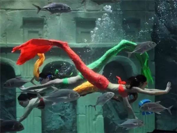 抢疯了！“宁波G20特惠旅游护照”登陆杭州10家银泰！抢到一本就赚4万6！