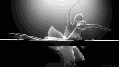 规定动作多自选动作少,规定动作与自选动作