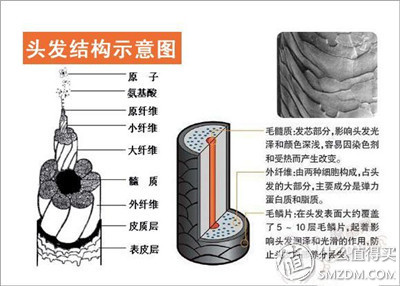 tescom胶原蛋白吹风机测评,清风吹风机评测
