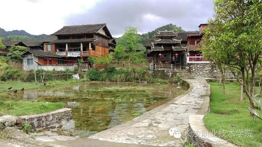 来稿我的大学生活比你多了道风景