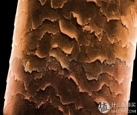 tescom胶原蛋白吹风机测评,清风吹风机评测