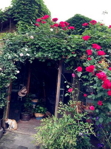 鍒瀹跺涵鑱氶杞拌洞,瀹跺涵鍒杞拌洞鑱氫細