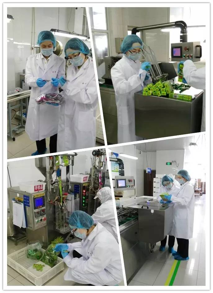 辣根是这么吃的,辣根为什么难吃