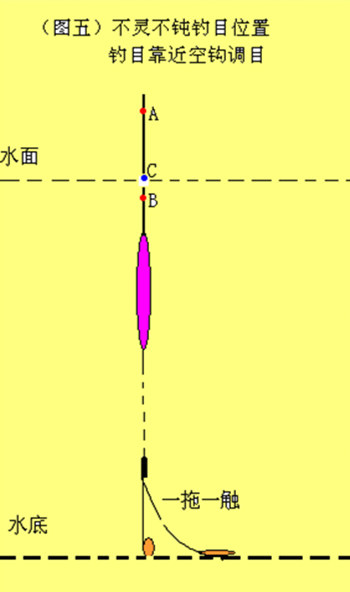 双铅调平水钓二目怎么调,双铅钓鲤鱼调几目钓几目