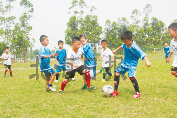 青少年足球宣传单,青少年校园足球标志