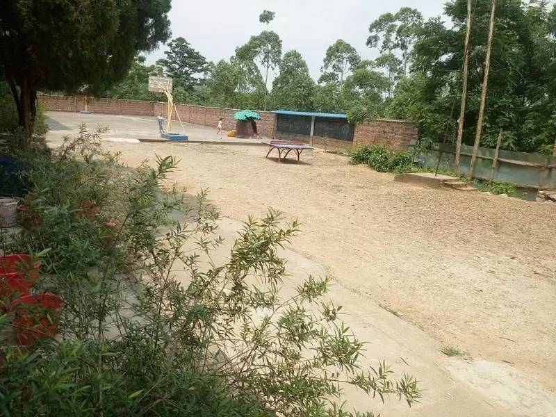 六一儿童节如何给孩子过有意义,六一儿童节给孩子一份特别的关爱