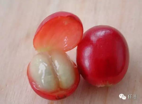 这货也是奢侈品？