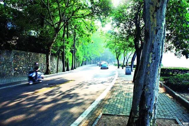 武汉，你又又又被国家盯上了！全亚洲都要羡慕死你了！