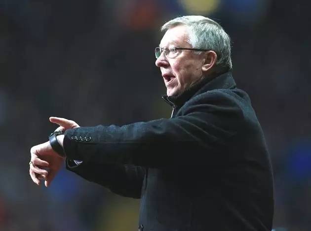 伊布的霸气,海贼王伊布