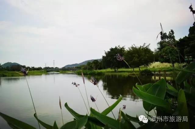 杭州西溪生态公园,西溪郊野公园好玩吗