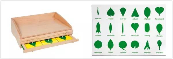 蒙特梭利幼儿园都有什么,为何要送孩子去蒙特梭利幼儿园