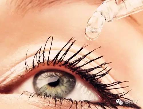 你是我的眼睛,你是我的眼全集完整版