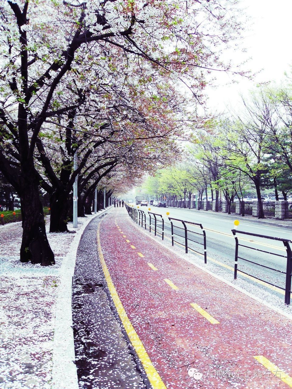 赴韩自由行详细攻略,韩国自由行4天攻略