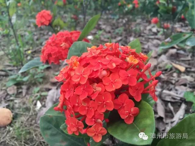 杭州西溪生态公园,西溪郊野公园好玩吗