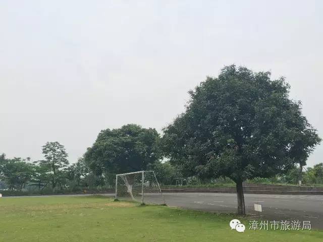 杭州西溪生态公园,西溪郊野公园好玩吗