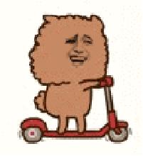 怎么利用大数据找车,在贵阳做数据工作