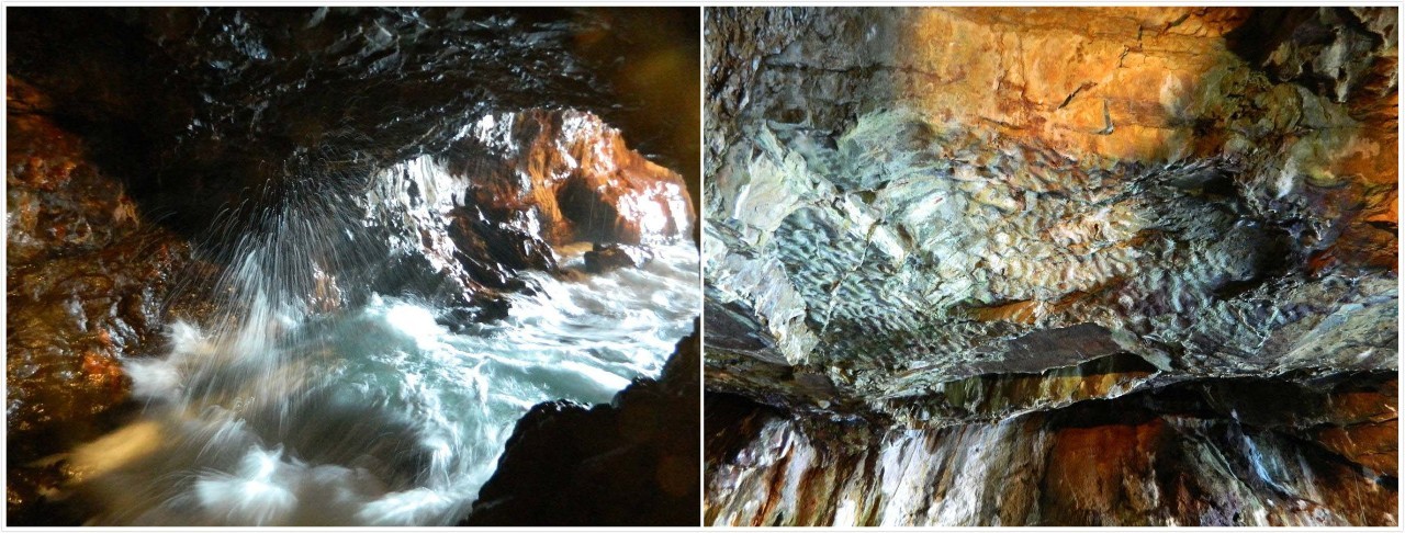 百万级帖主的“再度进击”|西日本，你不该错过这些