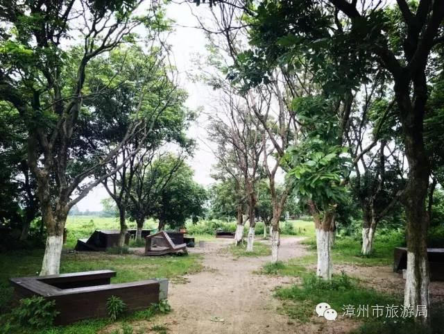 杭州西溪生态公园,西溪郊野公园好玩吗