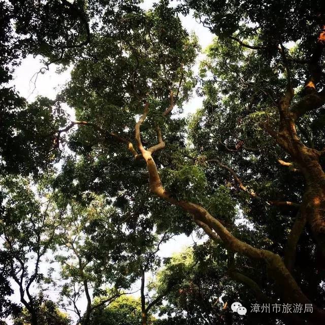 杭州西溪生态公园,西溪郊野公园好玩吗