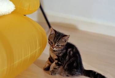 只是纯粹想分享个状态吗？不，因为穷的只剩钱了