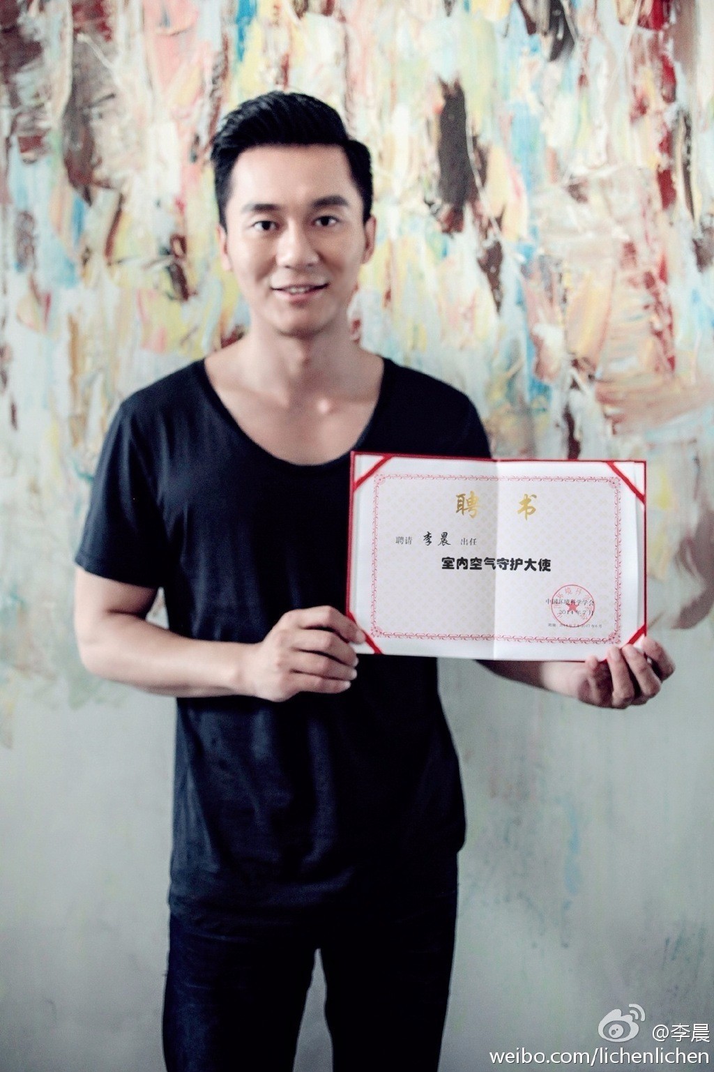 李晨联合国评委对话,李晨联合国英文演讲