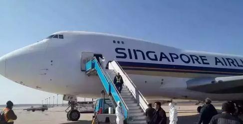 莱德马业倒闭,莱德马业内蒙古赛马进展