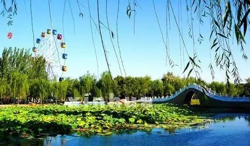 银川哪里最适合居住,银川哪个地段适合居住