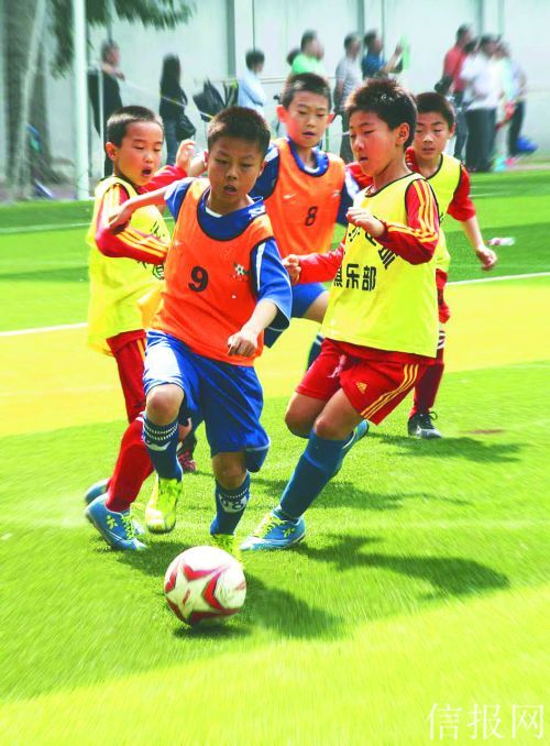 北京还可以的青训都有啥,北京青训俱乐部