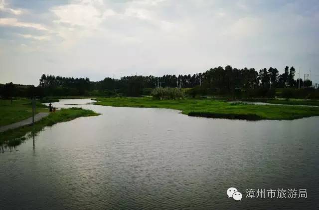 杭州西溪生态公园,西溪郊野公园好玩吗