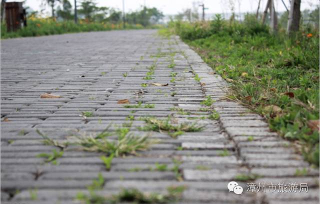 杭州西溪生态公园,西溪郊野公园好玩吗