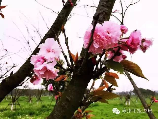 杭州西溪生态公园,西溪郊野公园好玩吗