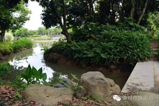 杭州西溪生态公园,西溪郊野公园好玩吗