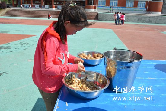 小学生活达人比赛,小学生生活小能手比赛