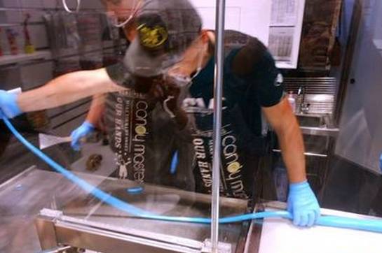 青岛这些明星店你都去过吗？寻味你最喜欢的那一家