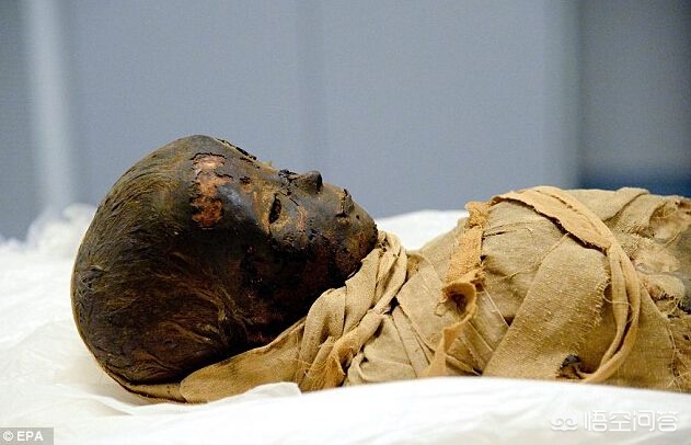 人死后遗体为什么会腐烂,人死后尸体为什么变重