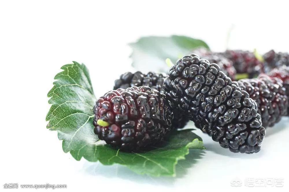 经常上火的人吃什么清热药,慢病的食疗方案