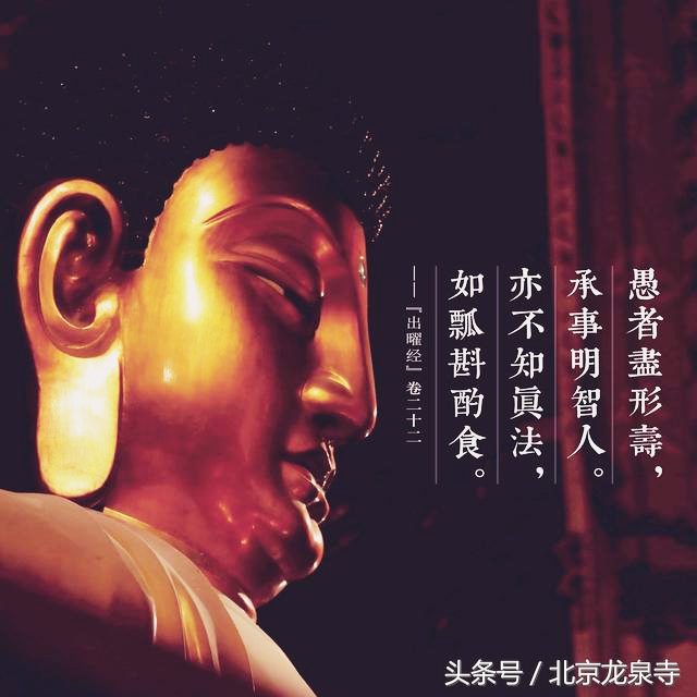 皈依要给师父红包吗,皈依佛门仪式全过程佛陀