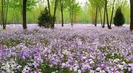 北京这38个森林公园您都去吗？先收藏了，有空咱们玩个遍！