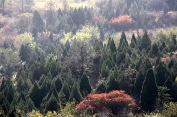 北京这38个森林公园您都去吗？先收藏了，有空咱们玩个遍！