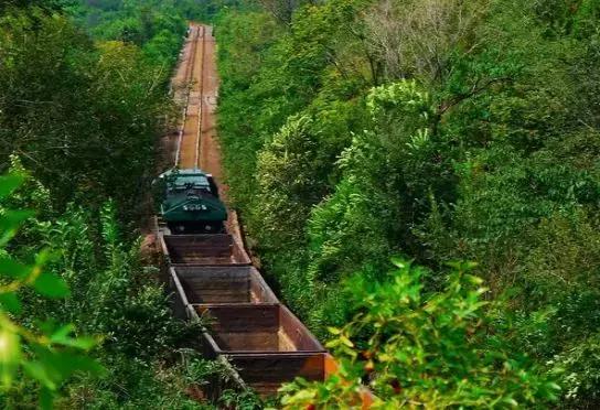 北京这38个森林公园您都去吗？先收藏了，有空咱们玩个遍！