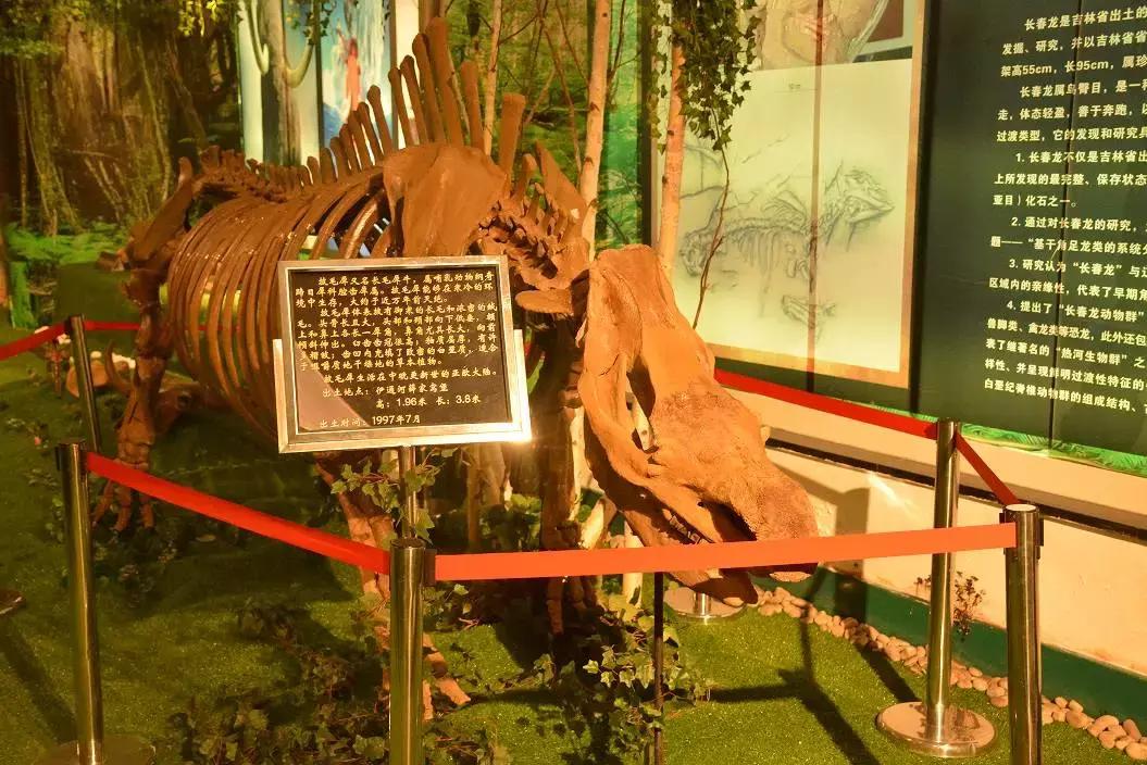 十一高今年高考咋样,十一高上学