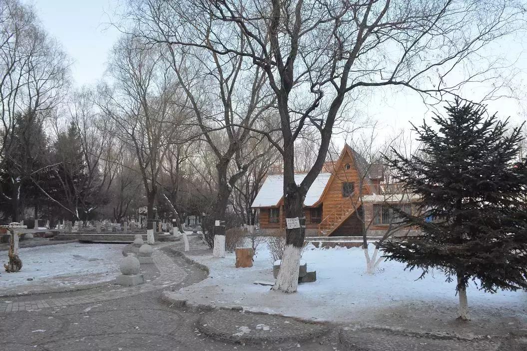 十一高今年高考咋样,十一高上学